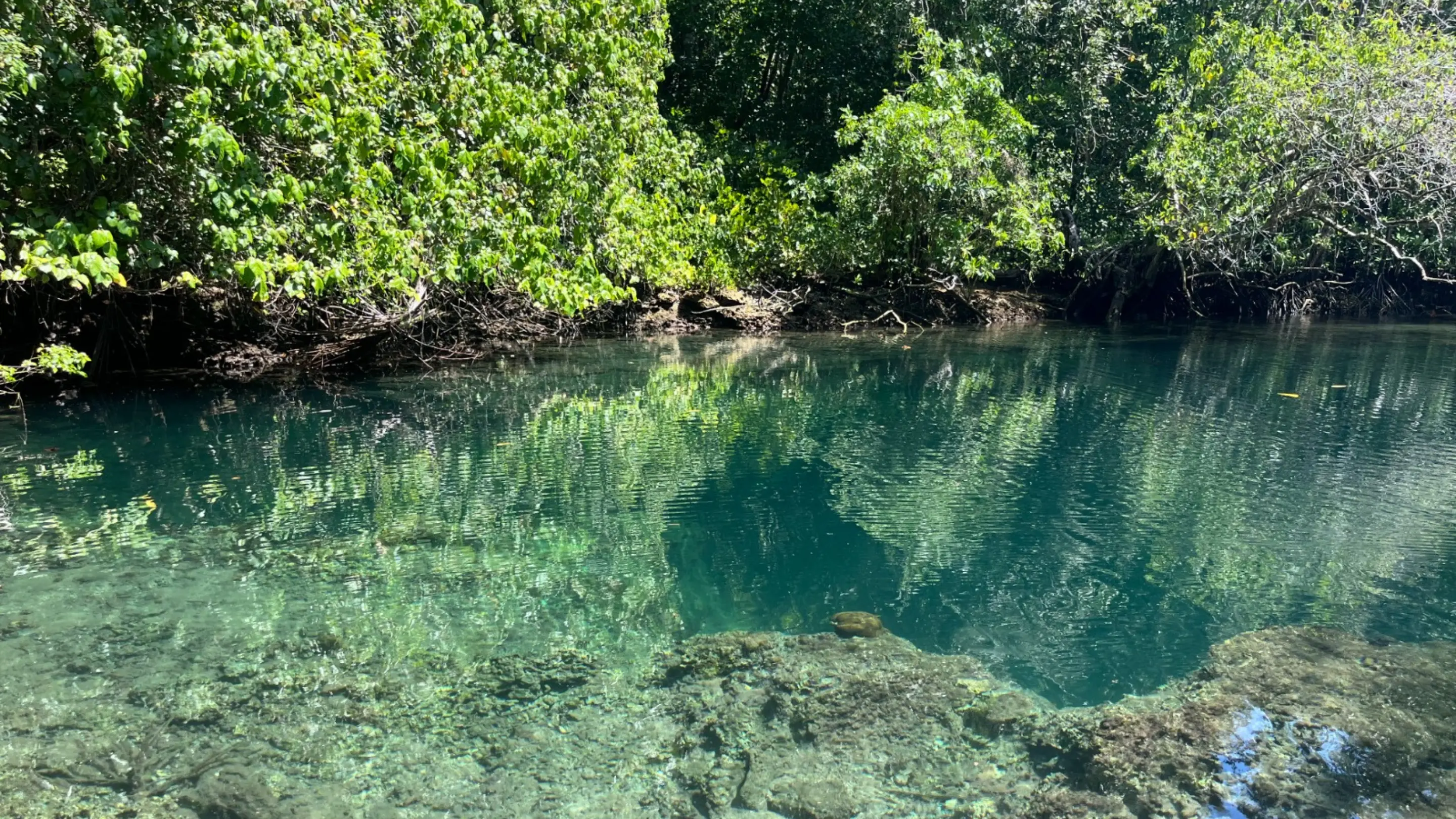 Pemandangan gradasi warna air dari hijau tosca ke biru pekat di kedalaman palung Goa Buloling, Kabupaten Banggai Kepulauan