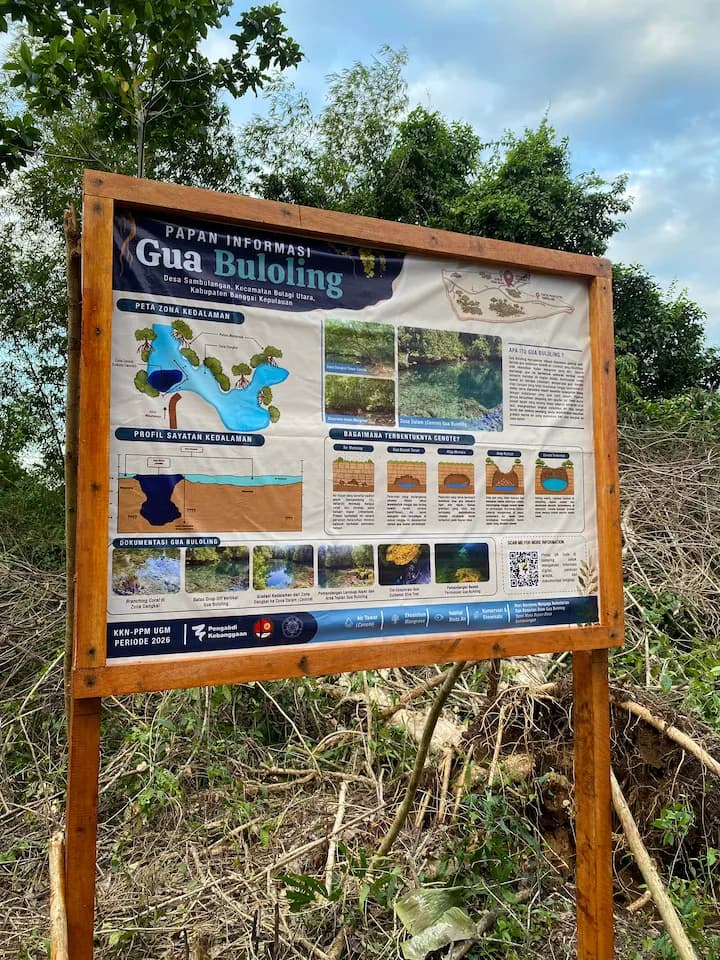 Pemandangan tingkat kejernihan air tawar sebening kristal di kolam cenote Goa Buloling yang tenang di kawasan hutan mangrove