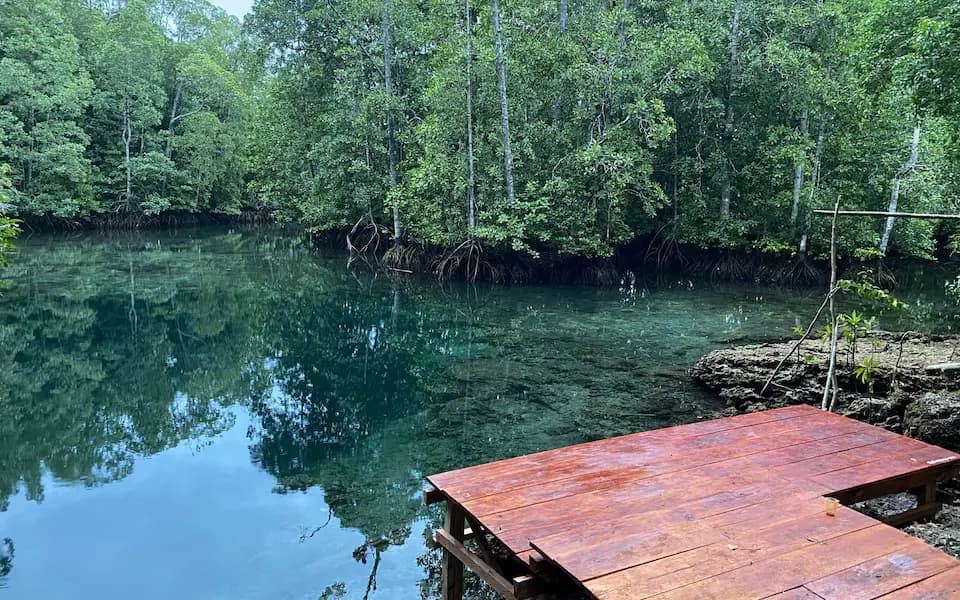 Pemandangan indah bayangan refleksi kanopi pepohonan hutan bakau di atas permukaan air tenang Goa Buloling Banggai Kepulauan
