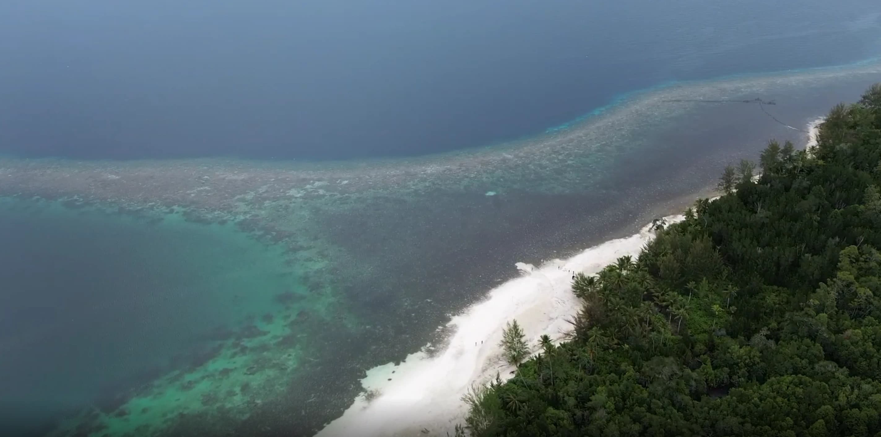 Pemandangan pesona keindahan bibir pantai yang eksotis dengan perpaduan pasir putih alami di Pulau Tambalang Banggai Kepulauan