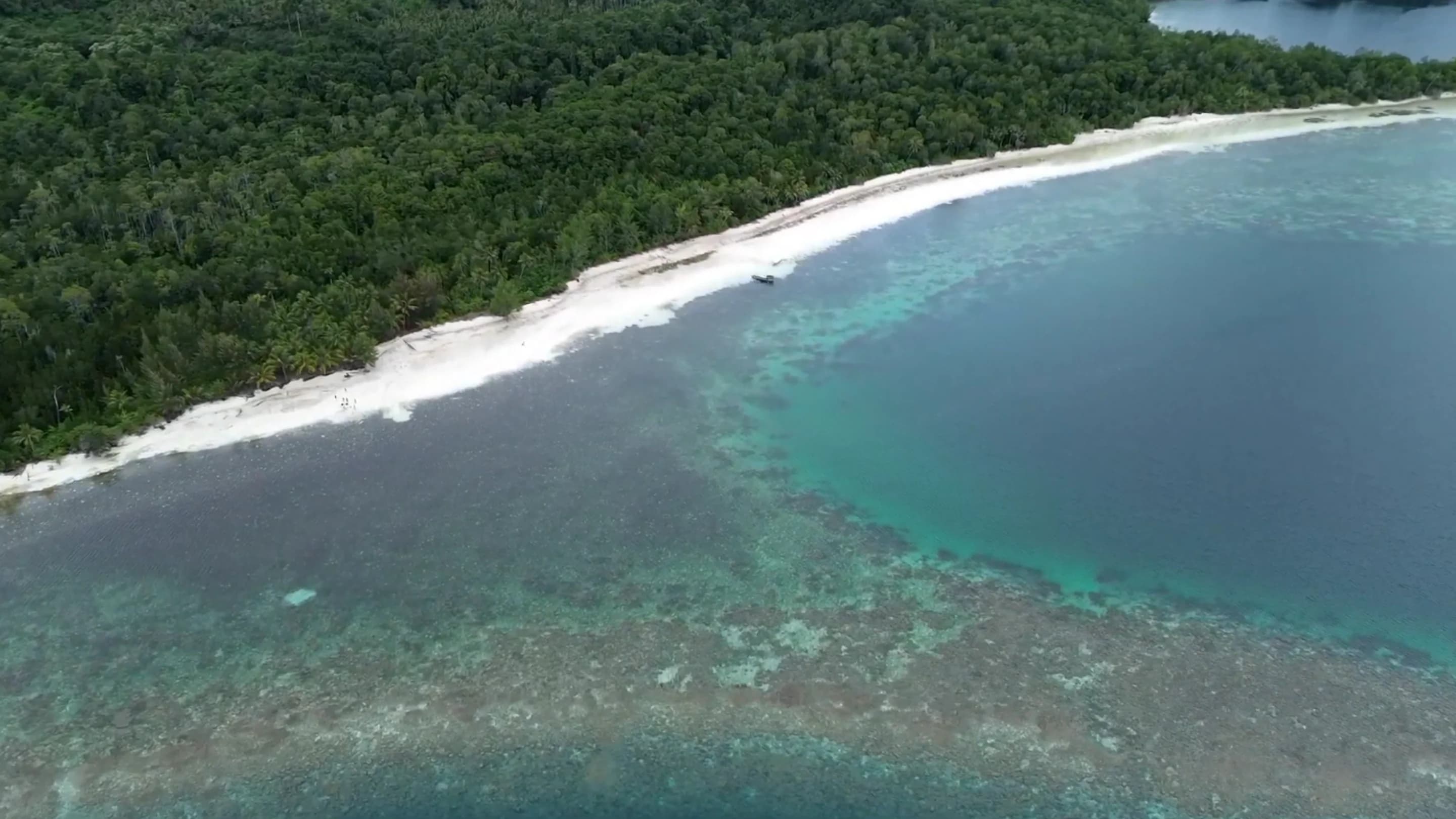 Pemandangan pesona alam bahari yang memukau dan belum terjamah di Pantai Pasir Putih Pulau Tambalang, Kabupaten Banggai Kepulauan