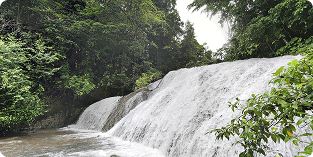 Wisata Air Terjun Leling