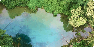 Wisata Danau Aluelo