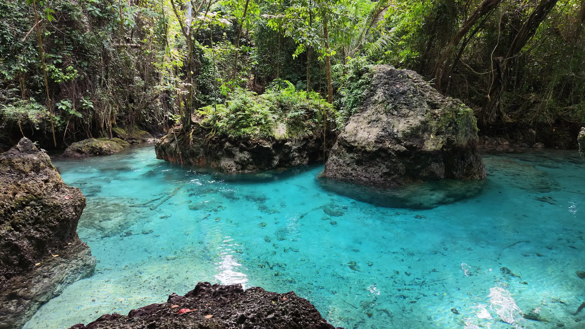 Paisu Batango